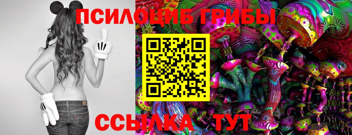 Сухой Лог  Псилоцибиновые грибы MAGIC MUSHROOMS  Вход с VPN 